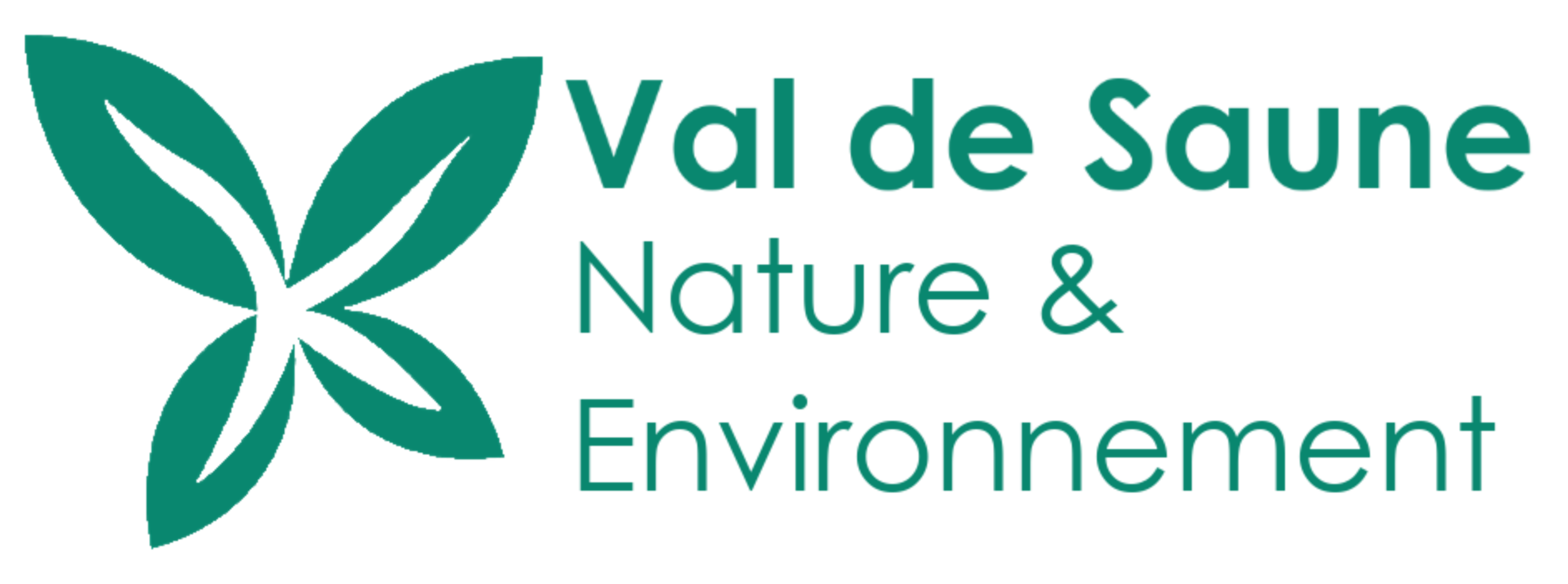 Logo VSNE