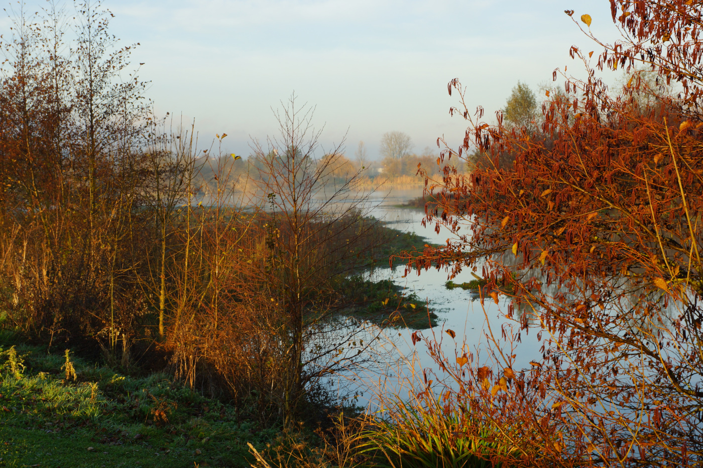 Paysage du Val de Saune